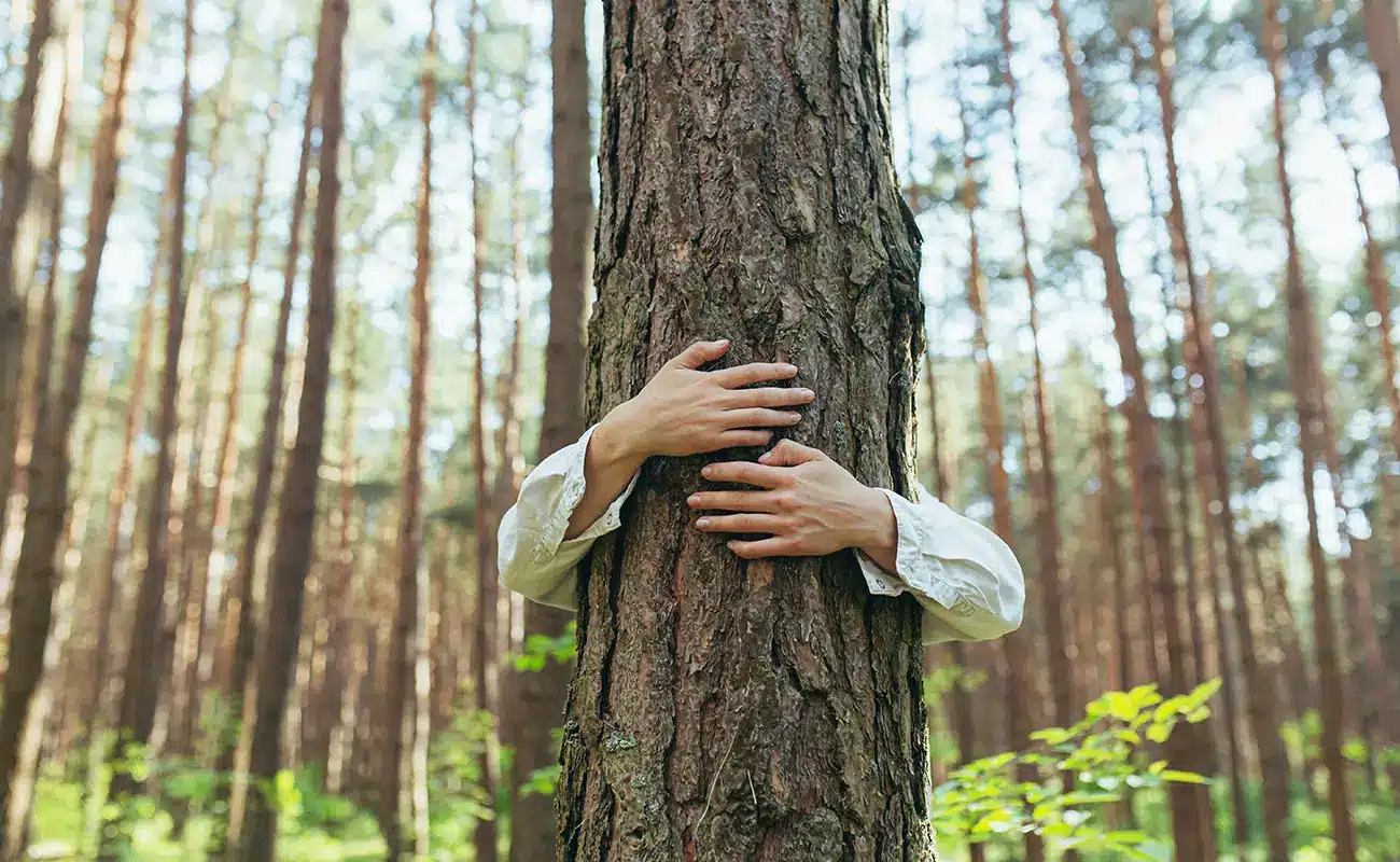 Baum wird von Mensch umarmt mit Wald im Hintergrund