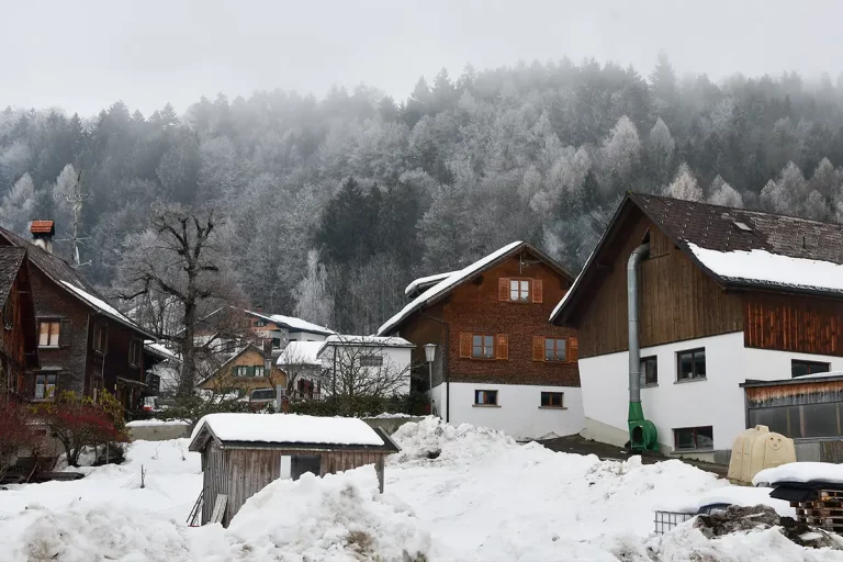 schneebedeckte Häuser im Winter